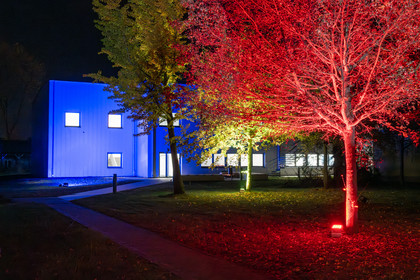 Ein modernes Gebäude ist bei Nacht in intensivem Blau angestrahlt, während die davor stehenden Bäume in kräftigem Rot und Grün leuchten; ein schmaler gepflasterter Weg führt durch die herbstliche Wiese.