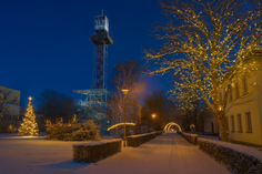 Verschneiter Weg auf dem Campus der SLV Halle bei Nacht, warm beleuchtete Gebäude und Weihnachtsbäume säumen den Weg, im Hintergrund ragt der Turm der SLV Halle in den dunklen Himmel.