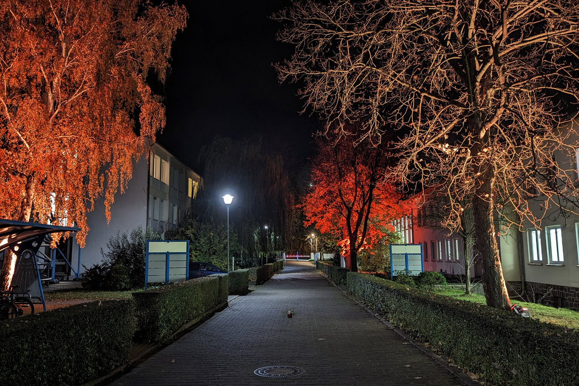 Nächtliche Aufnahme eines beleuchteten Gehwegs zwischen zwei Gebäuden, herbstliche Bäume mit roten und orangefarbenen Lichtakzenten flankieren den Weg, im Hintergrund ist ein beleuchtetes Tor sichtbar.