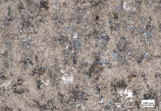 Mikroskopaufnahme eines metallischen Gefüges mit feinen nadelartigen und sternförmig angeordneten Strukturen in Grau, Braun und Blau. Die Oberfläche zeigt ein dichtes Gefügemuster mit einzelnen hellen Bereichen, unten rechts ist ein Maßstab von 100 µm dargestellt.
