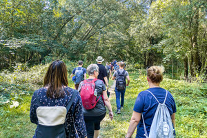 Eine Gruppe Menschen wandern durch Natur - Rückenansicht