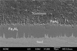 Rasterelektronenmikroskopaufnahme der Intermetallischen Phasen Fe₂Al₅ und FeAl₃ an der Grenzschicht