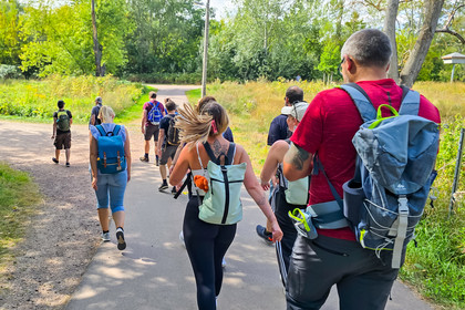 Wandergruppe von Männern und Frauen mit Rucksäcken läuft auf einem Weg durch eine grüne Landschaft, Rückenansicht.