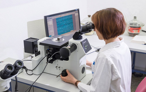 Frau im Laborkittel arbeitet an einem Mikroskop und betrachtet eine Probe, auf dem Monitor dahinter ist eine vergrößerte Struktur sichtbar, Laborgeräte stehen auf dem Tisch.